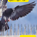 أفضل شركة تركيب طارد حمام بالمزاحمية 