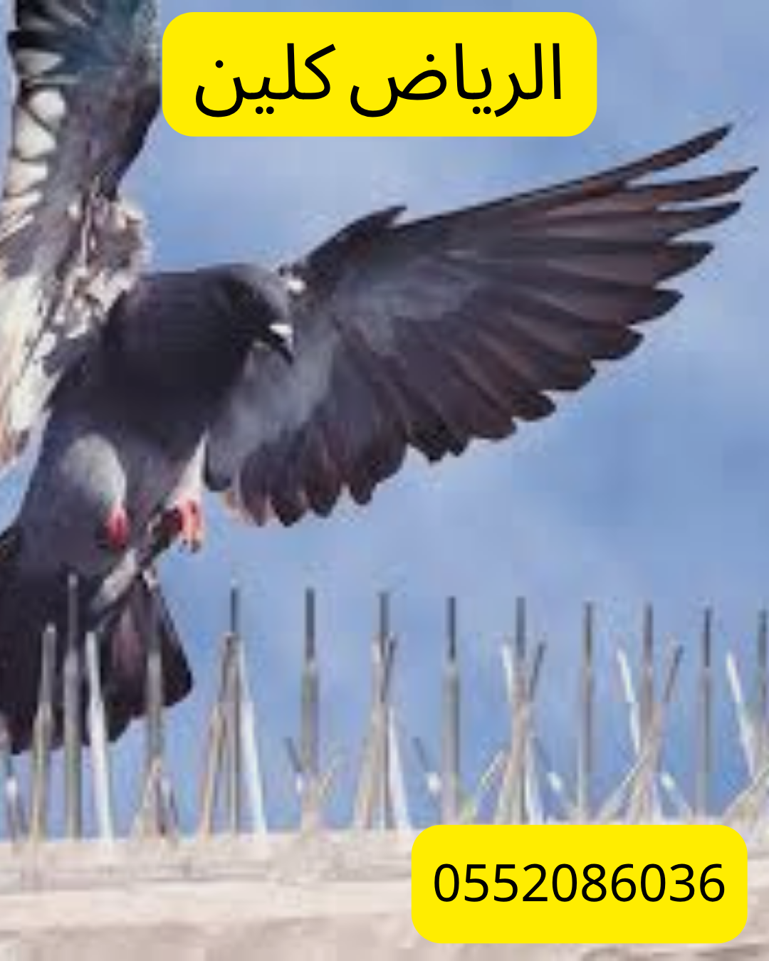 أفضل شركة تركيب طارد حمام بالمزاحمية 