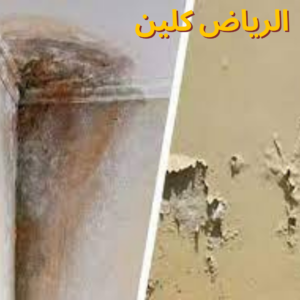 افضل شركة معالجة رطوبة الجدران بحي الشفا بالرياض 