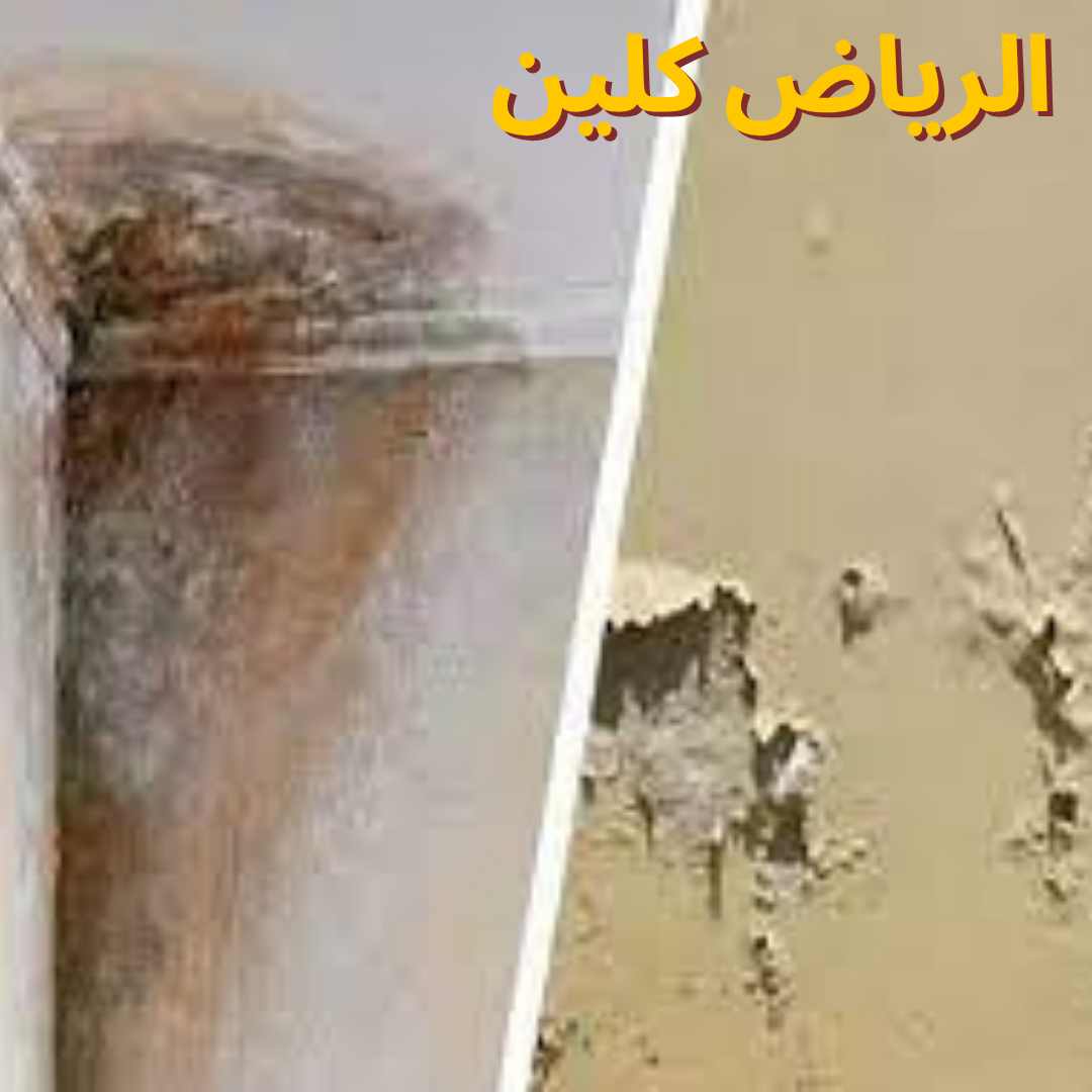 افضل شركة معالجة رطوبة الجدران بحي الشفا بالرياض 